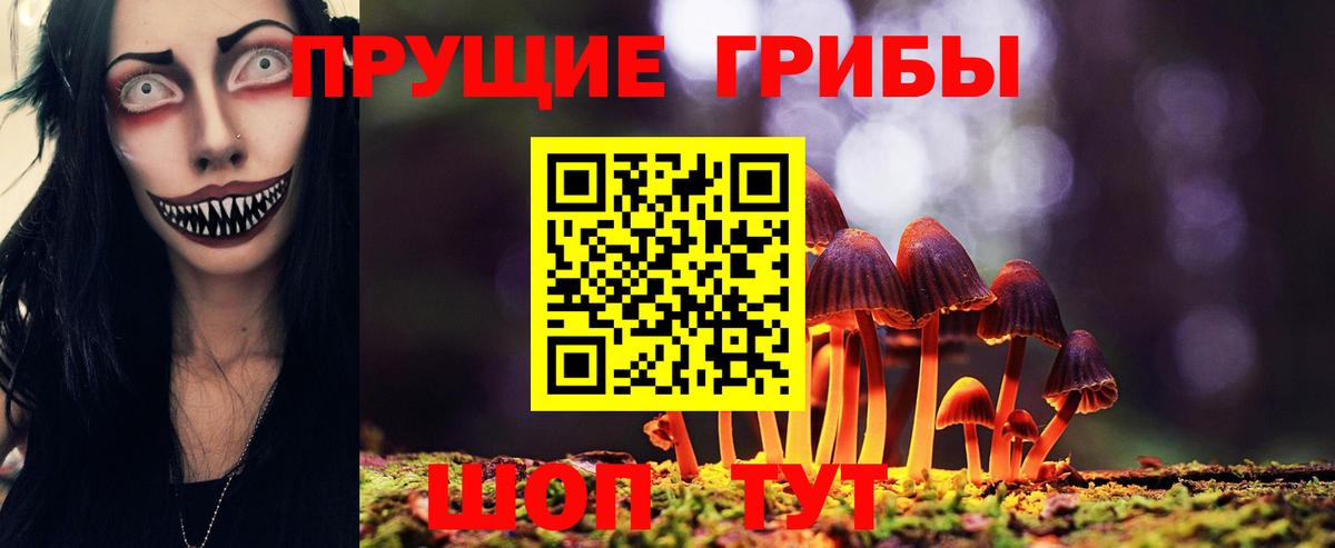 продажа наркотиков  Псилоцибиновые грибы мицелий  Вход с VPN  Владимир  Псилоцибиновые грибы Magic Shrooms 