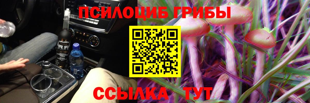 Галлюциногенные грибы Cubensis Владимир